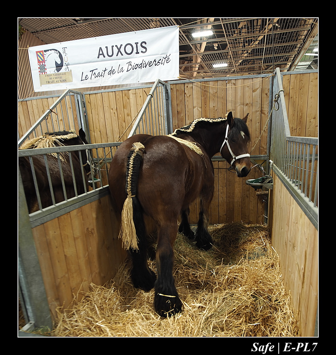 2020 - 02 - Salon agriculture 15